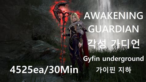 Bdo Awakening Guardian Gyfin Rhasia Underground