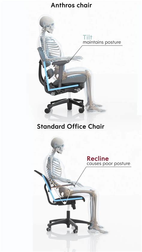 Navigating The Labyrinth Of Office Chairs A Comprehensive Guide To