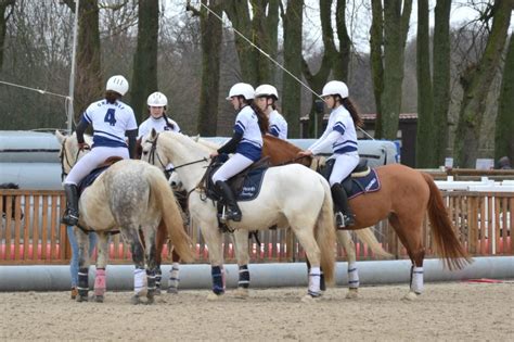 Jeunes Haras De Chambly