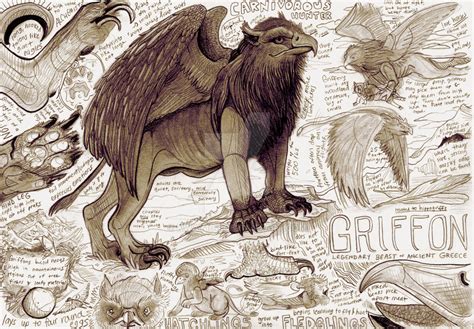 Griffon by Kway100 on DeviantArt