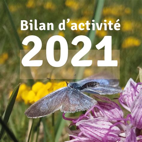 Le Bilan Dactivité 2021 Est En Ligne Smiril