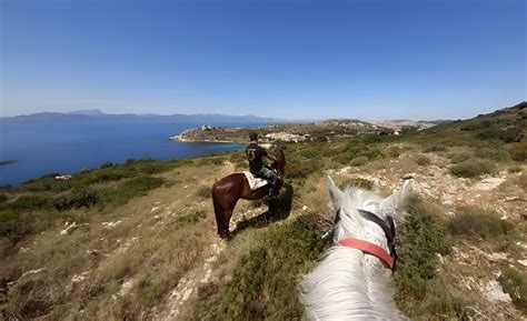 Passeggiate A Cavallo Cagliari A Partire Da 25 Freedome