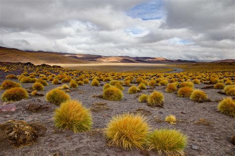 Curiosidades Del Altiplano Potosino