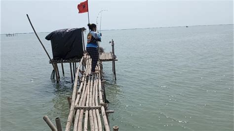 Mancing Ikan Kedukang Dengan Umpan Jitu Mancing Di Bagan Youtube