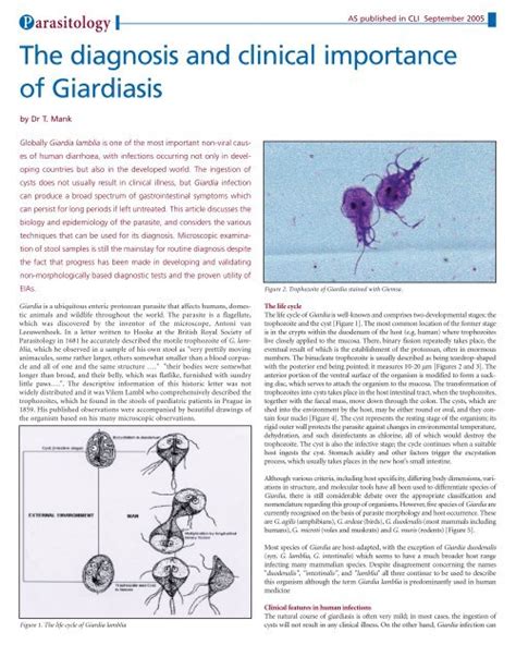 The Diagnosis And Clinical Importance Of Giardiasis