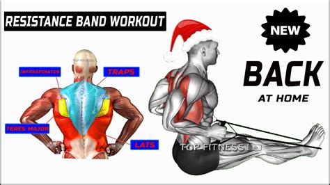 Best Resistance band back workout ( 5 EFFECTIVE EXERCISES ) - Hygieia Lifestyle