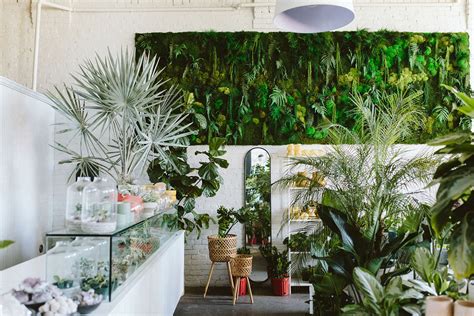 Dennis' 7 Dees Garden Centers