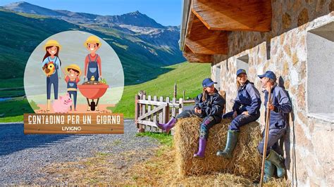 Livigno Contadino Per Un Giorno YouTube