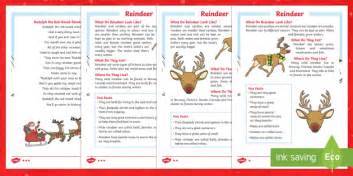 Parts Of A Reindeer Cut And Paste Activity Teacher Made Atelier