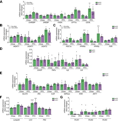 A Missense Variant In Human Perilipin Plin Ser Pro Reduces