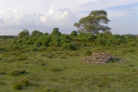 Laurences Barrow Beaulieu Heath New © Jim Champion Cc By Sa20 Geograph Britain And