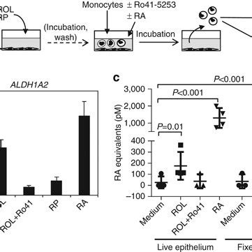 Retinoic Acid Ra Biosynthesis By Human Gastric Epithelial Cells A