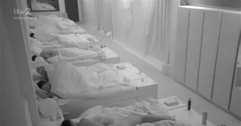 Love Island Stars Make Sex Pact As Four Couples Appear To Get Steamy At Same Time Daily Record