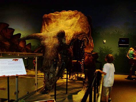 Creation Museum: Dinosaurs and The Fall (Part 1) — Mom's Mustard Seeds