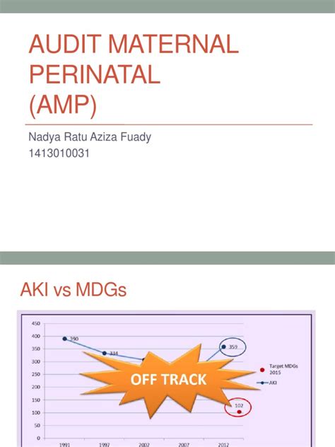 Audit Maternal Perinatal Pdf