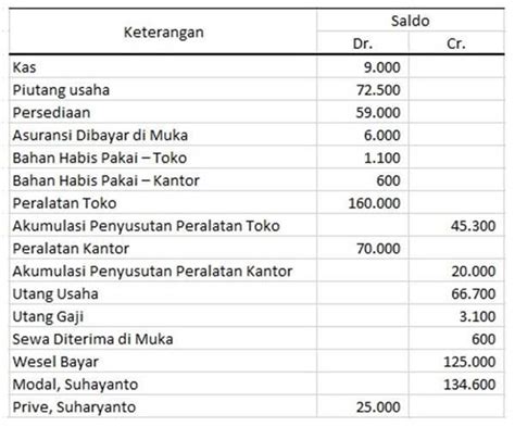 Contoh Neraca Saldo Dan Jurnal Penyesuaian