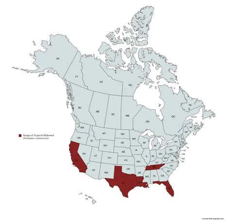 A Comprehensive Guide To Tropical Milkweed Asclepias Curassavica