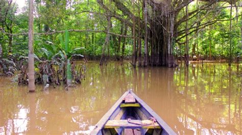 Conseils Pour Voyager En Amazonie Colombienne Tout Ce Que Vous Devez