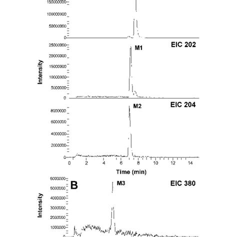 Extracted Ion Chromatograms For Phase 1 A And 2 B Metabolites Of Download Scientific