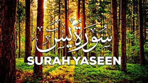 Surah Yasin Yaseen Full Hd Arabic Text By Mishary