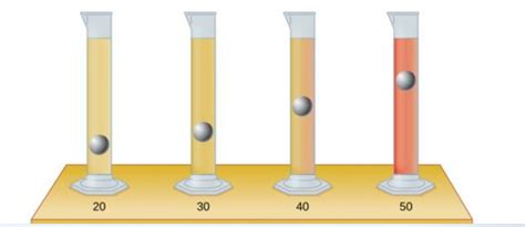 Solved The Test Tubes Shown Below Contain Equal Amounts Of Chegg