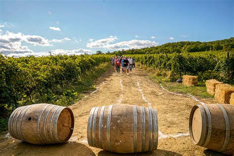 Nachrichten Von Der Fattoria Fattoria La Vialla