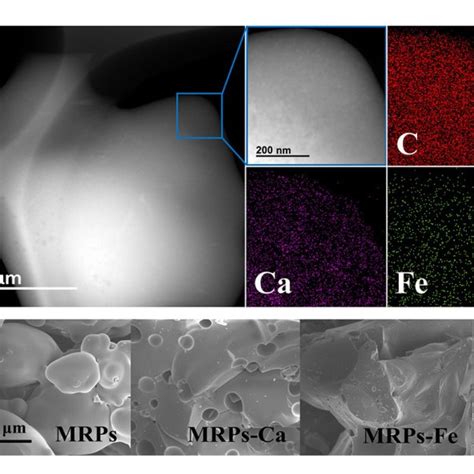 Transmission Electron Microscopy TEM Images Of MRPs Ca Fe Zn A