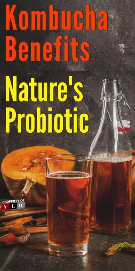 Kombucha Benefits Nature’s Probiotic – Your Lifestyle Options