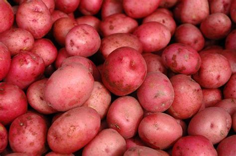 How To Microwave Red Potatoes Artofit