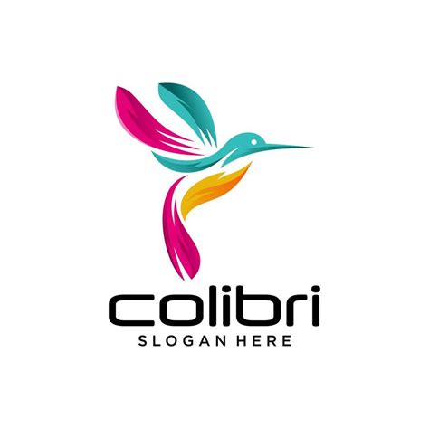 Resumen Colorido Colibr Colibri P Jaro Logo L Nea Contorno Monoline