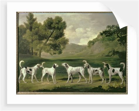 Foxhounds In A Landscape 1762 Posters And Prints By George Stubbs