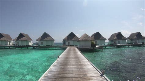 Maldives Stock Video Footage for Free Download