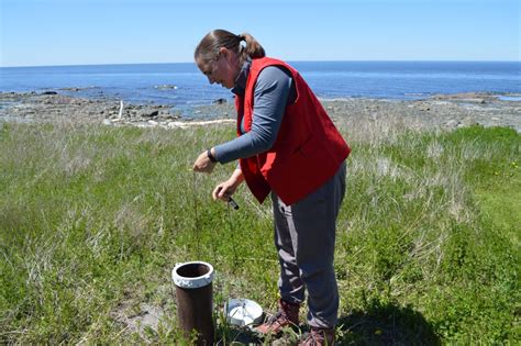 Projet de maitrise Hausse du niveau de la mer et piézométrie O Salis