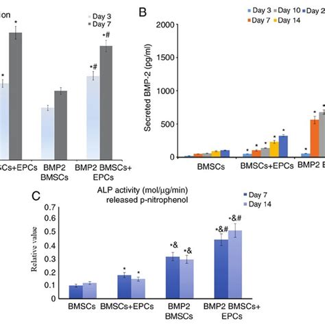 Effects Of The Ad Bmp Bmscs Epcs System On Cell Activity A The