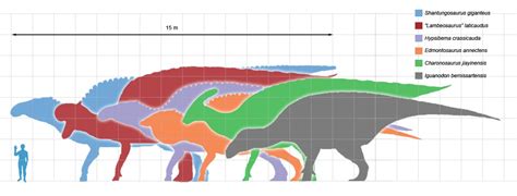 The longest and largest ornithopods. | DinoAnimals.com