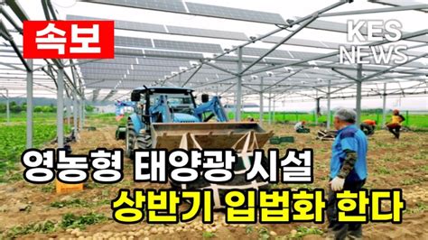 영농형 태양광 지원법 발의 절대농지 설치 허용 임박 Youtube