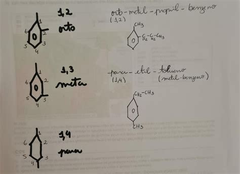 O Que Significa Orto - o que é orto e para na química orgânica ? por exemplo, que - Explicaê