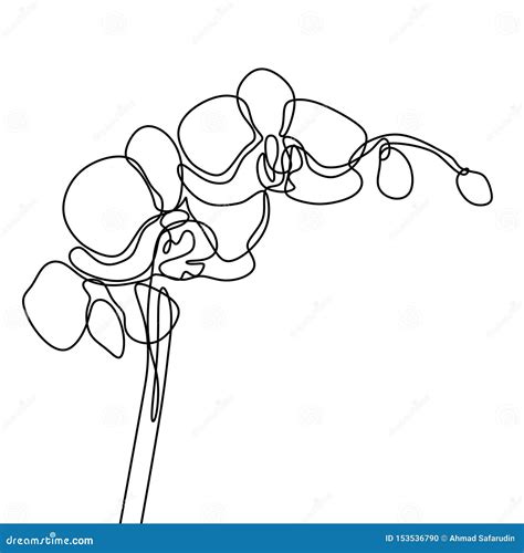 Hand Drawn Orchid Flower One Line Drawing Continuous Illustration