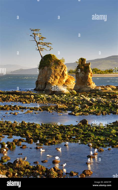 The Three Graces Tillamook Bay Oregon Stock Photo Alamy