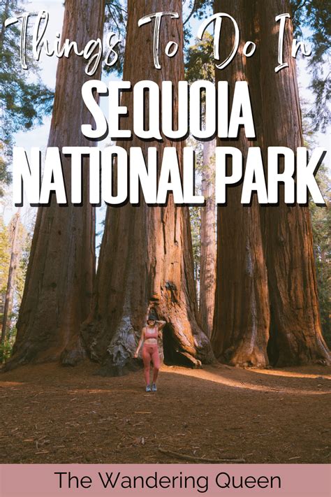 Things To Do In Sequoia National Park Must See Attractions The