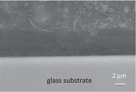 SEM cross section image of amorphous carbon deposited on glass ...