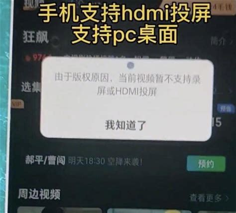 网友质疑爱奇艺hdmi播放国内外双标：海外版正常投屏 跟版权无关 Netsmell