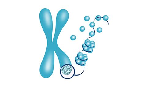 Epigenetics Antibody Panels Aladdin Scientific