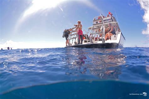 Ocean Encounters Diving In Curacao