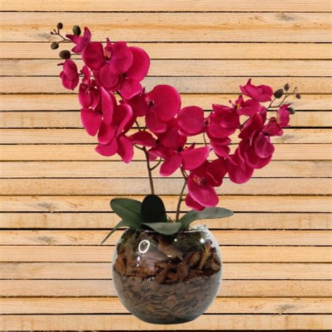 Arranjo 2 Orquídeas Roxo Artificial e Vaso de Vidro Elo7