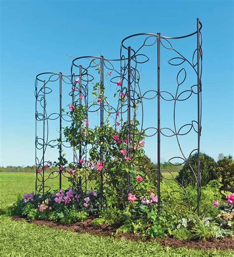 Metal Obelisk Trellis Ideas On Foter