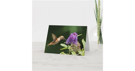 Birthday card featuring hummingbird | Zazzle