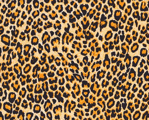 leopard skin texture wall mural murals