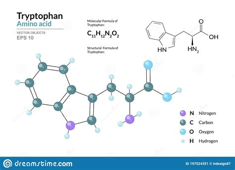 Tryptophane Trp C H N O Acide Amin Mod Le Structurel De Formule