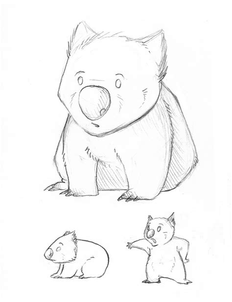 Wombat Drawing at GetDrawings | Free download